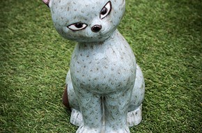 Gatto Deroma